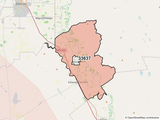 Mapa del código postal 33637, Saucillo, Chihuahua