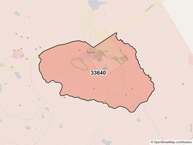 Mapa del código postal 33640, Saucillo, Chihuahua