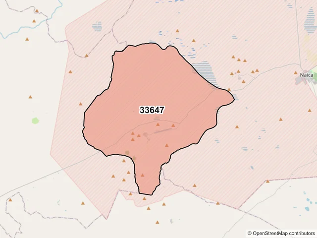 Mapa del código postal 33647, Saucillo, Chihuahua