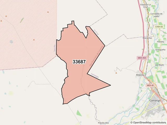 Mapa del código postal 33687, San Francisco de Conchos, Chihuahua