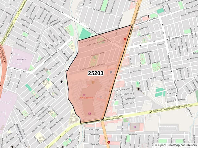 Mapa del código postal 25203, Saltillo, Coahuila de Zaragoza