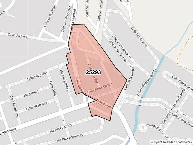Mapa del código postal 25293, Saltillo, Coahuila de Zaragoza