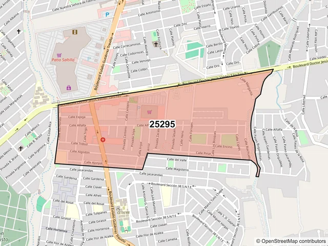 Mapa del código postal 25295, Saltillo, Coahuila de Zaragoza