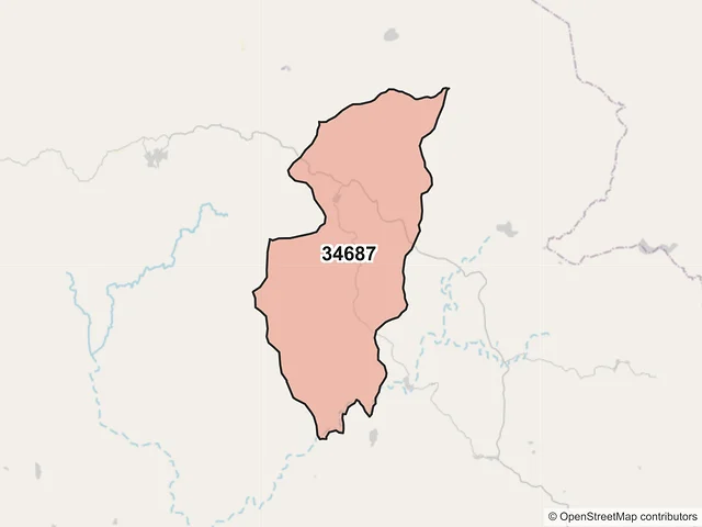 Mapa del código postal 34687, San Dimas, Durango