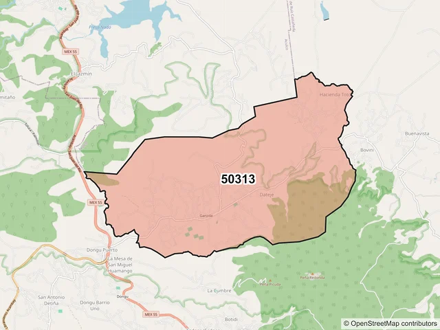Mapa del código postal 50313, Acambay de Ruíz Castañeda, México