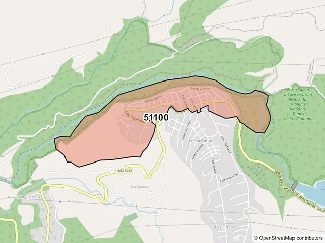 Mapa del código postal 51100, Santo Tomás, México