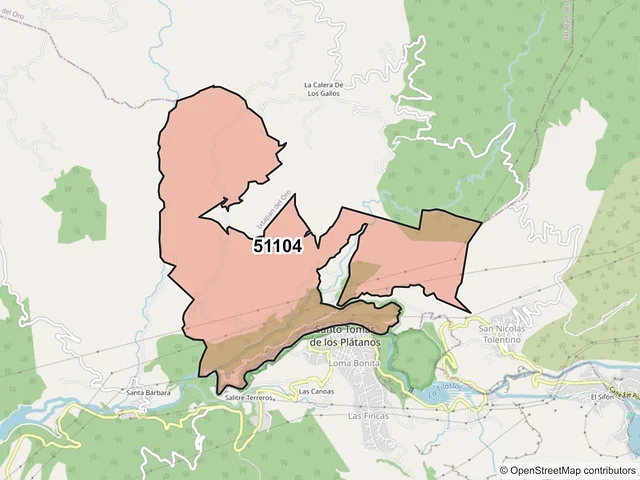 Mapa del código postal 51104, Santo Tomás, México