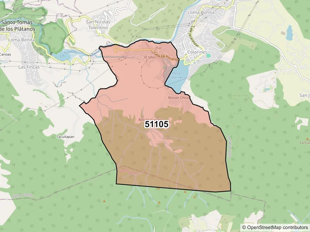Mapa del código postal 51105, Santo Tomás, México
