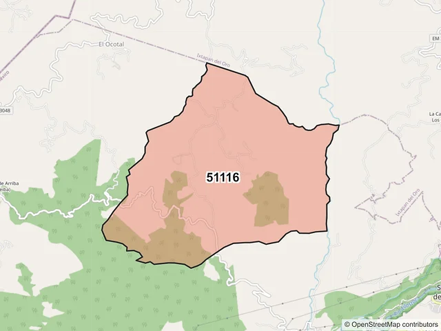 Mapa del código postal 51116, Santo Tomás, México