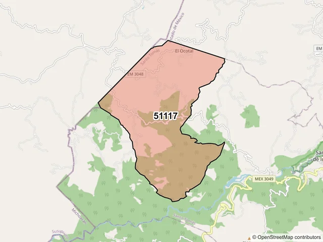 Mapa del código postal 51117, Santo Tomás, México