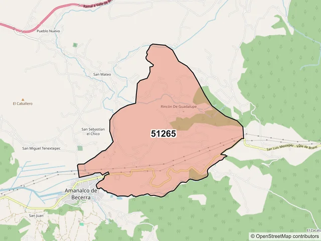 Mapa del código postal 51265, Amanalco, México
