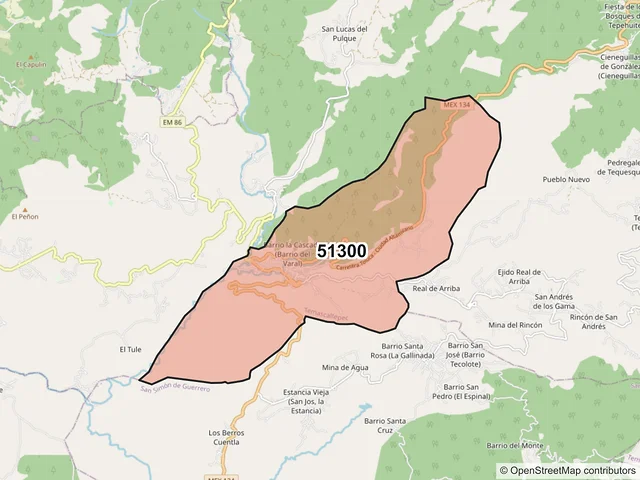 Mapa del código postal 51300, Temascaltepec, México