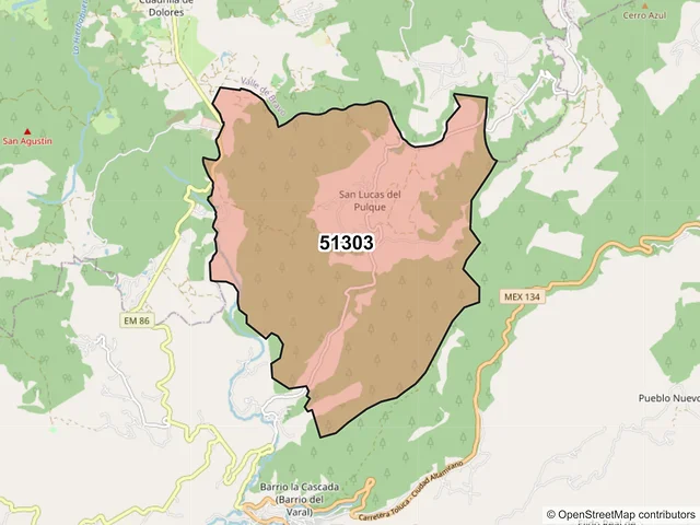 Mapa del código postal 51303, Temascaltepec, México