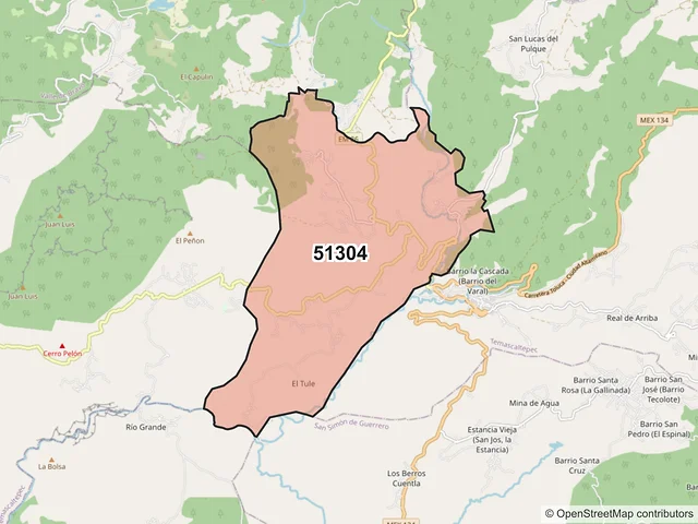 Mapa del código postal 51304, Temascaltepec, México