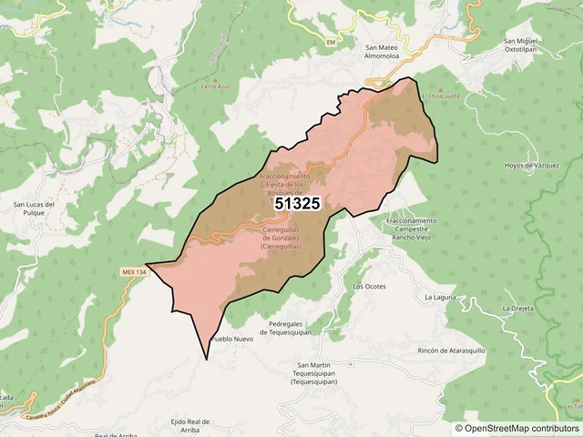 Mapa del código postal 51325, Temascaltepec, México