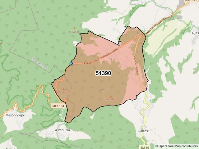 Mapa del código postal 51390, Zinacantepec, México