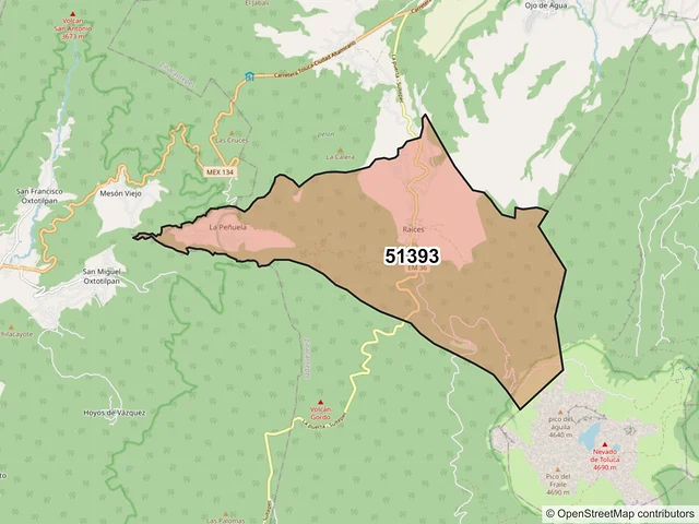 Mapa del código postal 51393, Zinacantepec, México