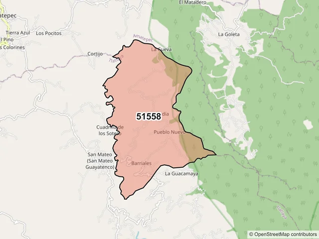 Mapa del código postal 51558, Tlatlaya, México