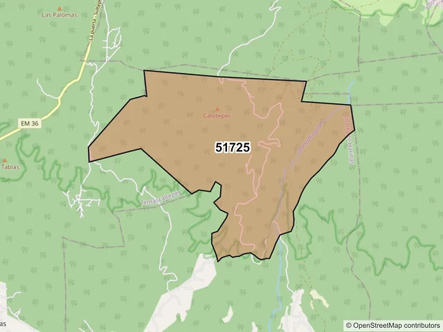 Mapa del código postal 51725, Coatepec Harinas, México