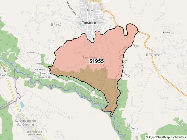 Mapa del código postal 51955, Tonatico, México