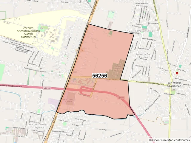 Mapa del código postal 56256, Texcoco, México