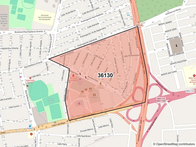 Mapa del código postal 36130, Silao de la Victoria, Guanajuato
