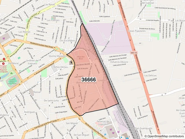 Mapa del código postal 36666, Irapuato, Guanajuato