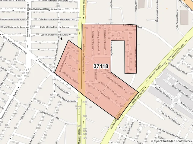 Mapa del código postal 37118, León, Guanajuato