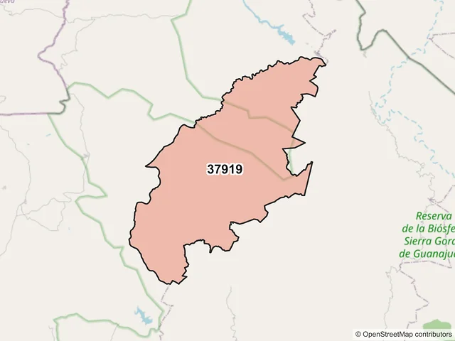 Mapa del código postal 37919, San Luis de la Paz, Guanajuato