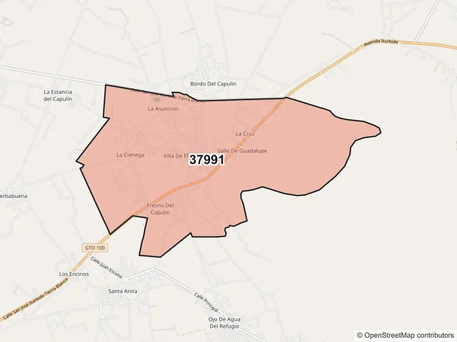 Mapa del código postal 37991, San José Iturbide, Guanajuato