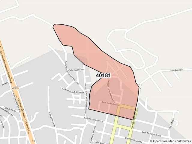 Mapa del código postal 40181, Eduardo Neri, Guerrero