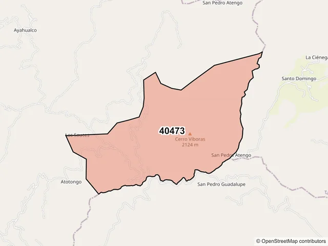 Mapa del código postal 40473, Pedro Ascencio Alquisiras, Guerrero