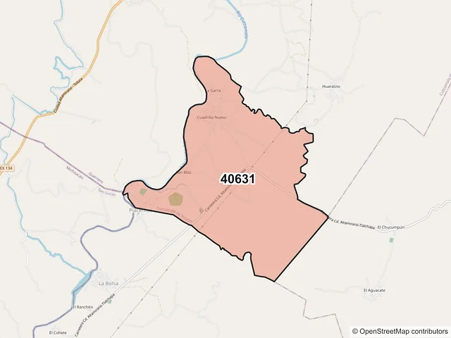 Mapa del código postal 40631, Cutzamala de Pinzón, Guerrero
