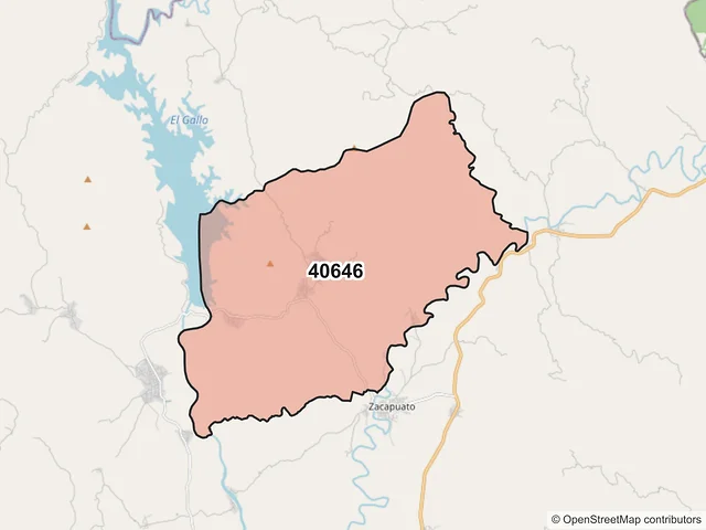 Mapa del código postal 40646, Cutzamala de Pinzón, Guerrero