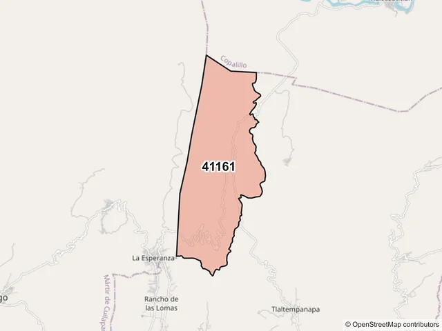 Mapa del código postal 41161, Zitlala, Guerrero