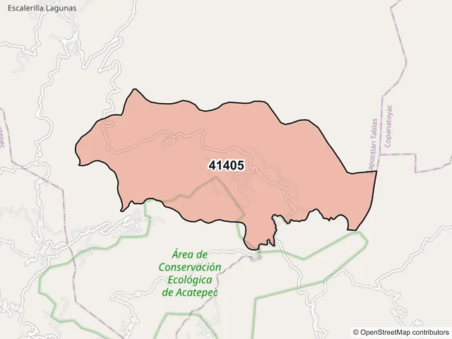Mapa del código postal 41405, Zapotitlán Tablas, Guerrero