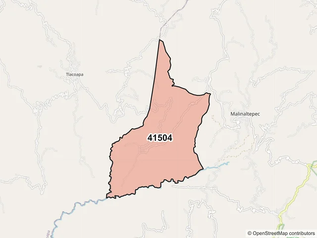 Mapa del código postal 41504, Malinaltepec, Guerrero