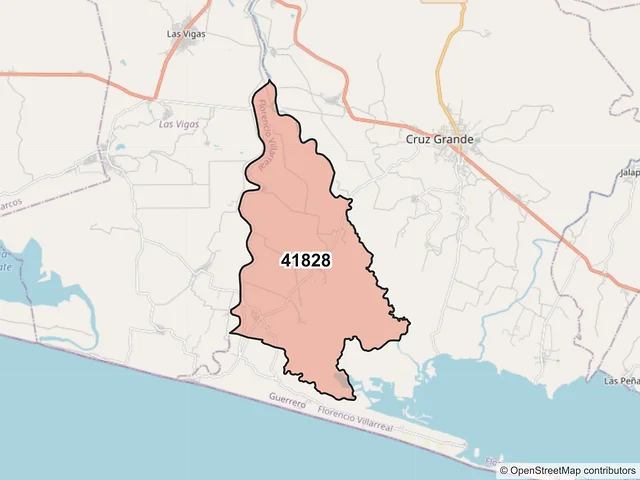 Mapa del código postal 41828, Florencio Villarreal, Guerrero