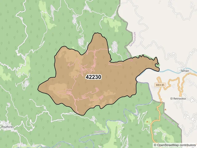 Mapa del código postal 42230, Pisaflores, Hidalgo