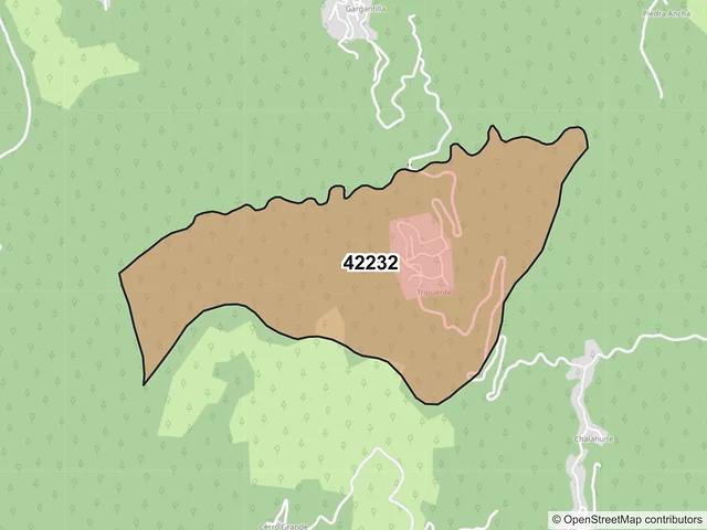 Mapa del código postal 42232, Pisaflores, Hidalgo