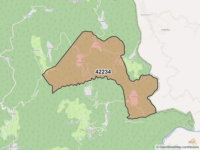 Mapa del código postal 42234, Pisaflores, Hidalgo