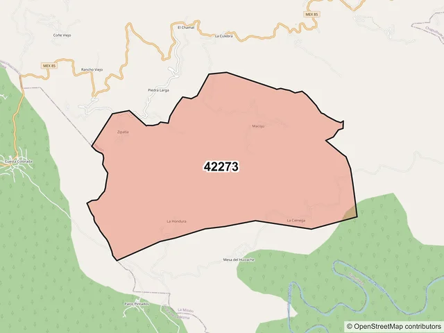 Mapa del código postal 42273, La Misión, Hidalgo