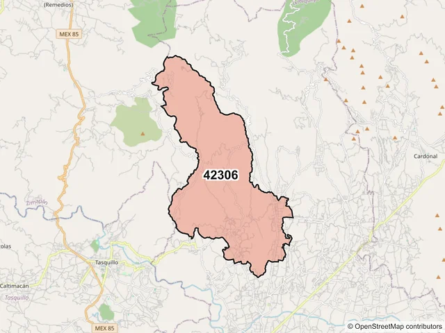 Mapa del código postal 42306, Ixmiquilpan, Hidalgo