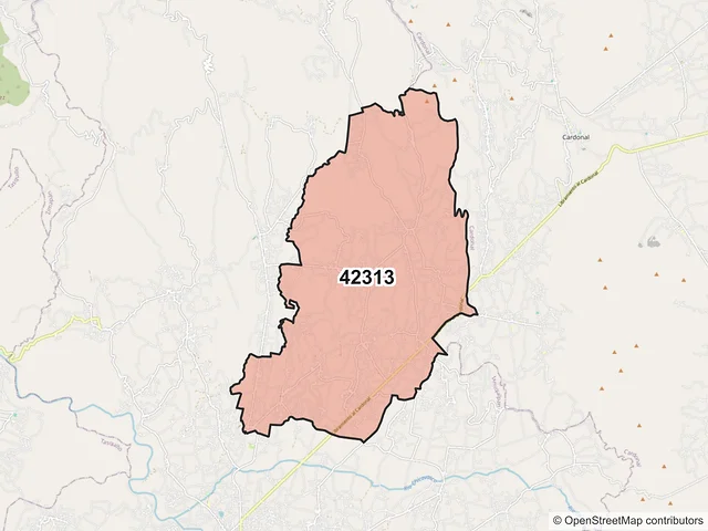 Mapa del código postal 42313, Ixmiquilpan, Hidalgo