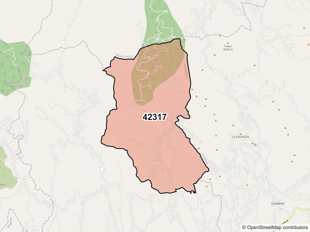 Mapa del código postal 42317, Ixmiquilpan, Hidalgo
