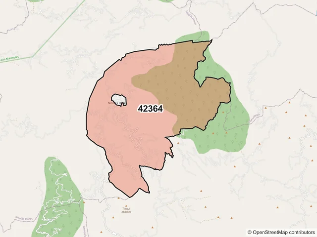Mapa del código postal 42364, Nicolás Flores, Hidalgo