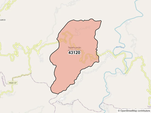 Mapa del código postal 43120, Tepehuacán de Guerrero, Hidalgo