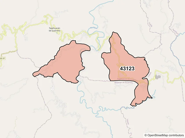 Mapa del código postal 43123, Tepehuacán de Guerrero, Hidalgo