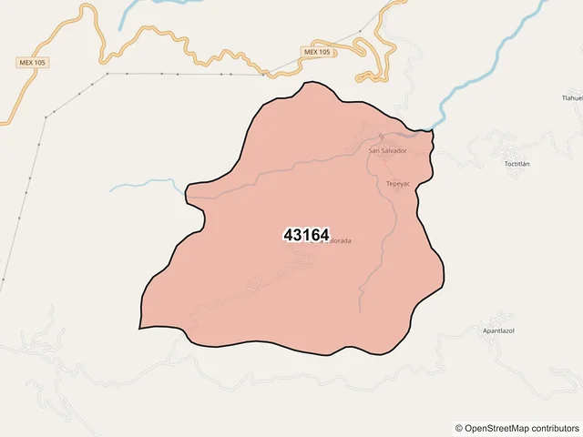 Mapa del código postal 43164, Tlanchinol, Hidalgo