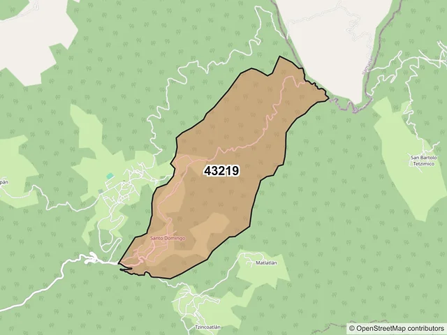 Mapa del código postal 43219, Zacualtipán de Ángeles, Hidalgo